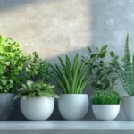 15-Tipos-de-Vasos-para-Plantas